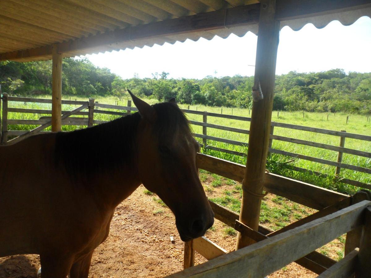 Pousada Estancia Macaubas - São Roque de Minas Exterior foto